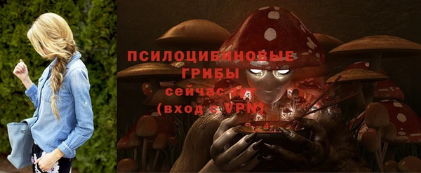 spice Армянск