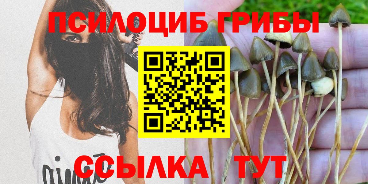 Псилоцибиновые грибы мухоморы  Галлюциногенные грибы Psilocybine cubensis  Прохладный  Вход с VPN 