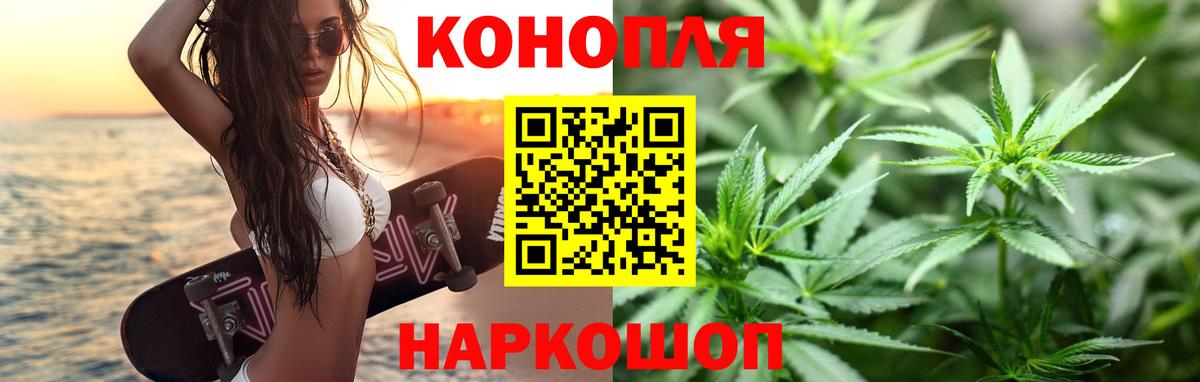 Бошки марихуана гибрид Прохладный